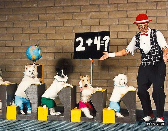 Popovich Comedy Pet Theater