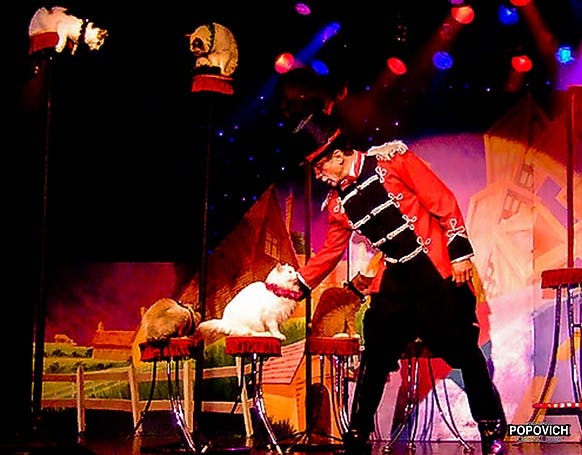 Popovich Comedy Pet Theater