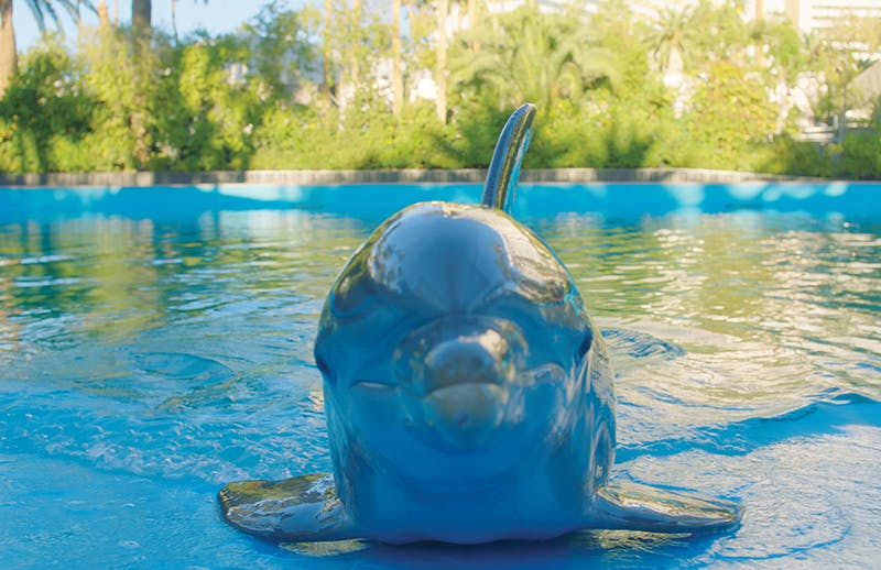 Secret Garden Slideshow 3